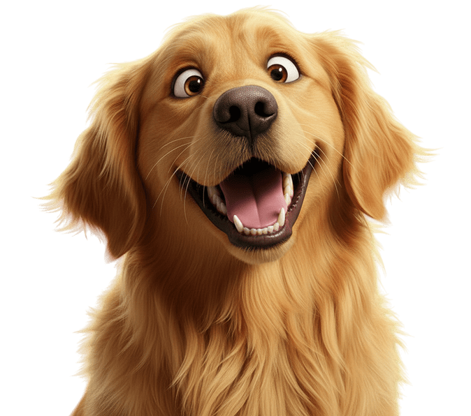 Cão golden retriever sorrindo de boca aberta